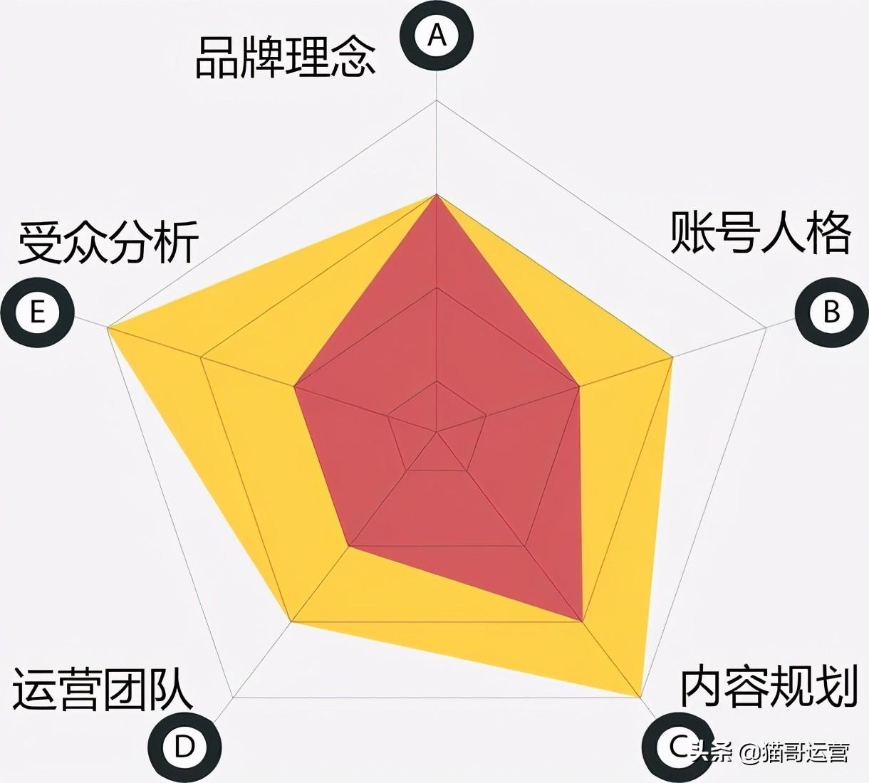 揭秘：1000w+播放量的抖音运营秘诀，零基础也能看得懂