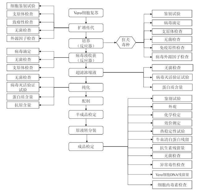 长春疫苗事件，长春疫苗事件是怎么回事