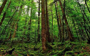 移除粉丝后对方知道吗(抖音里面移除粉丝后对方知道吗)  第1张