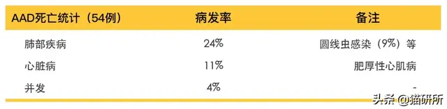 母猫绝育是切哪里