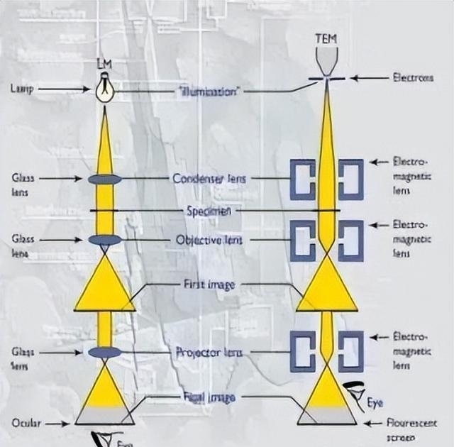 电子显微镜原理是什么*