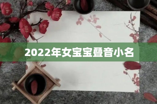 2022年女宝宝叠音小名