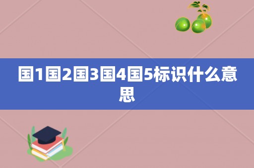 国1国2国3国4国5标识什么意思