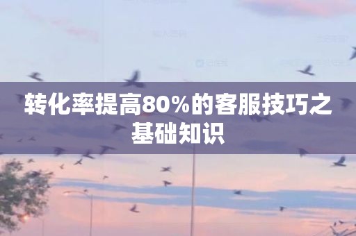 转化率提高80%的客服技巧之基础知识