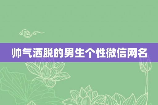 帅气洒脱的男生个性微信网名