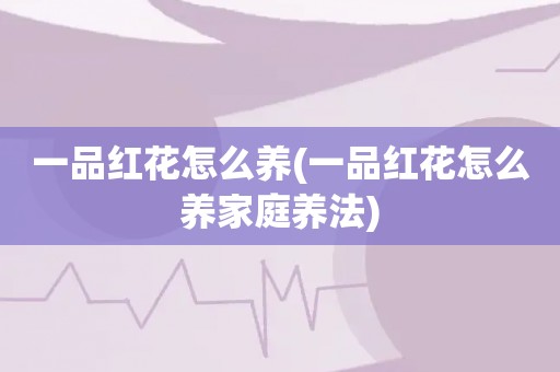 一品红花怎么养(一品红花怎么养家庭养法)