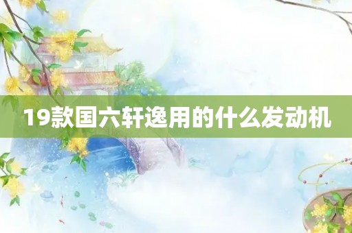 19款国六轩逸用的什么发动机