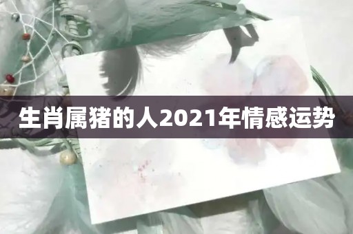 生肖属猪的人2021年情感运势