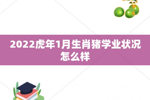 2022虎年1月生肖猪学业状况怎么样