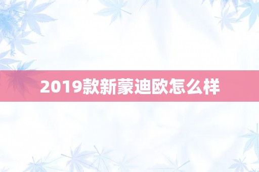 2019款新蒙迪欧怎么样