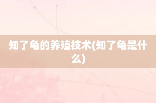 知了龟的养殖技术(知了龟是什么)