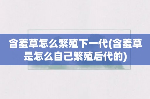 含羞草怎么繁殖下一代(含羞草是怎么自己繁殖后代的)