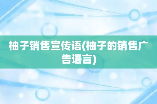 柚子销售宣传语(柚子的销售广告语言)