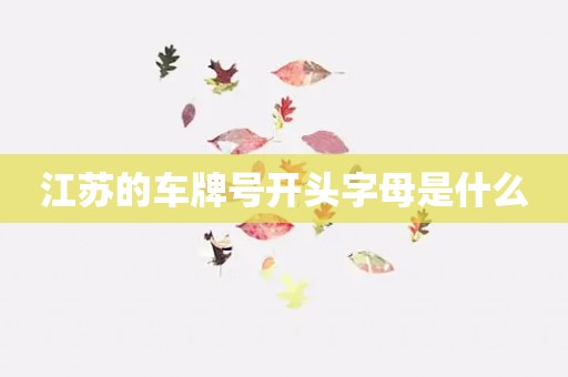 江苏的车牌号开头字母是什么