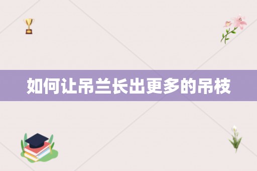 如何让吊兰长出更多的吊枝