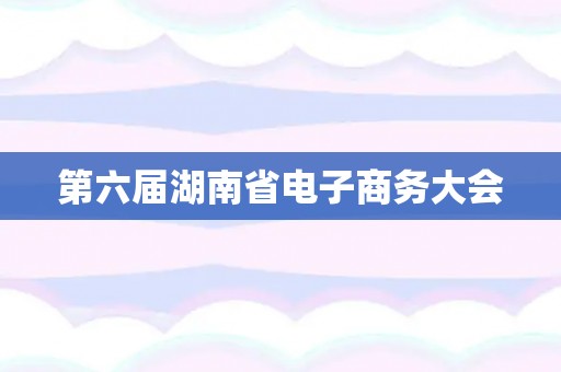 第六届湖南省电子商务大会