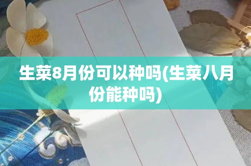 生菜8月份可以种吗(生菜八月份能种吗)