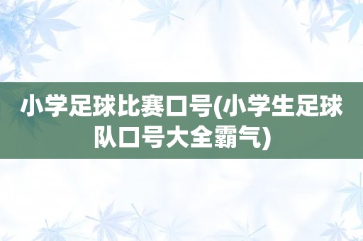 小学足球比赛口号(小学生足球队口号大全霸气)