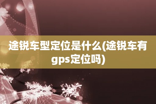 途锐车型定位是什么(途锐车有gps定位吗)