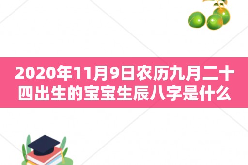 2020年11月9日农历九月二十四出生的宝宝生辰八字是什么