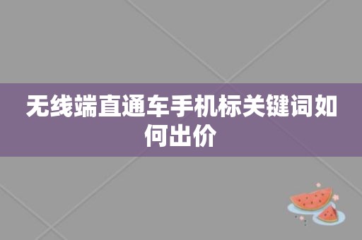 无线端直通车手机标关键词如何出价