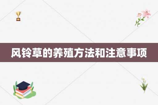 风铃草的养殖方法和注意事项