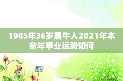 1985年36岁属牛人2021年本命年事业运势如何