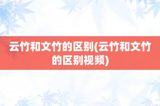 云竹和文竹的区别(云竹和文竹的区别视频)