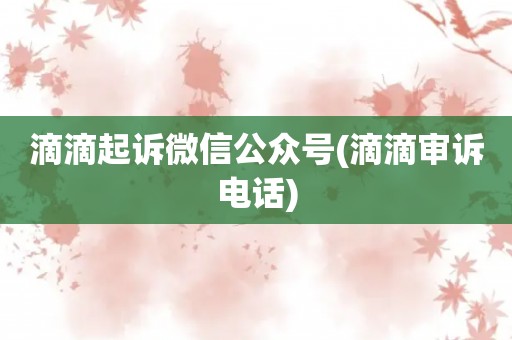 滴滴起诉微信公众号(滴滴审诉电话)