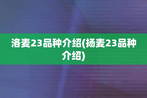 洛麦23品种介绍(扬麦23品种介绍)