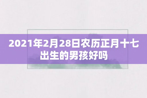 2021年2月28日农历正月十七出生的男孩好吗