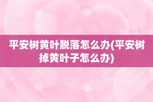 平安树黄叶脱落怎么办(平安树掉黄叶子怎么办)