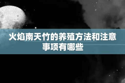 火焰南天竹的养殖方法和注意事项有哪些