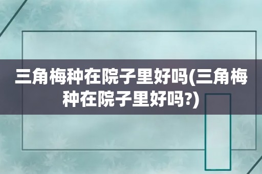 三角梅种在院子里好吗(三角梅种在院子里好吗?)