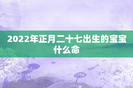 2022年正月二十七出生的宝宝什么命