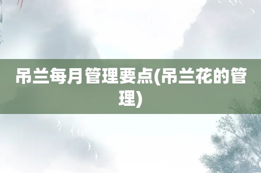 吊兰每月管理要点(吊兰花的管理)