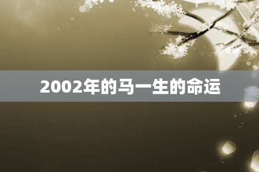 2002年的马一生的命运