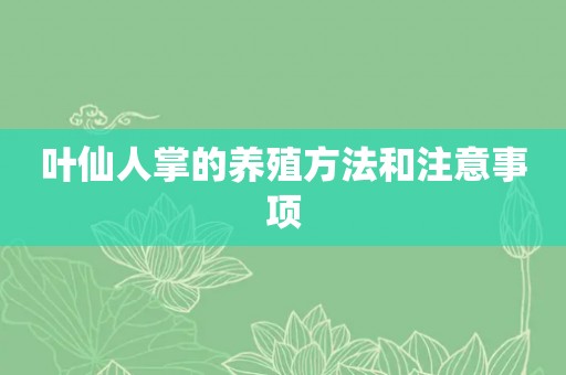 叶仙人掌的养殖方法和注意事项