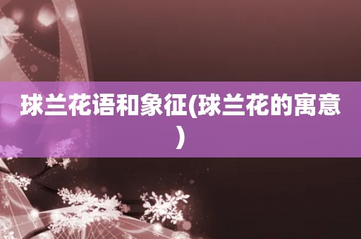 球兰花语和象征(球兰花的寓意)