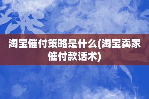 淘宝催付策略是什么(淘宝卖家催付款话术)