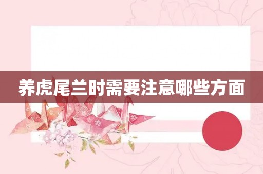 养虎尾兰时需要注意哪些方面