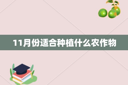 11月份适合种植什么农作物