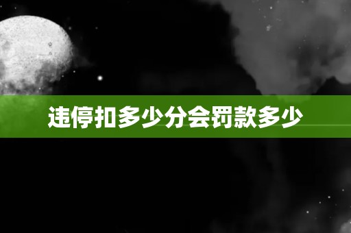 违停扣多少分会罚款多少