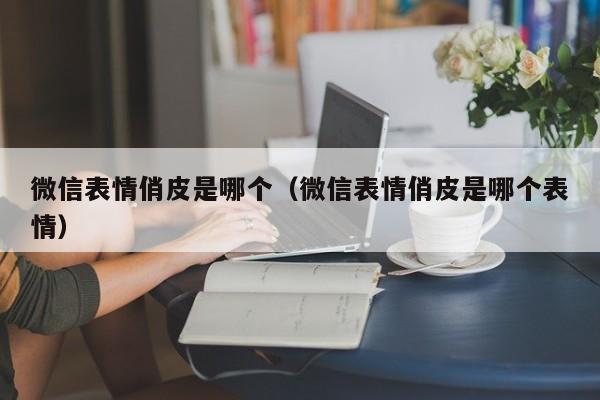 微信表情俏皮是哪个（微信表情俏皮是哪个表情）  第1张