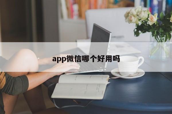 app微信哪个好用吗  第1张