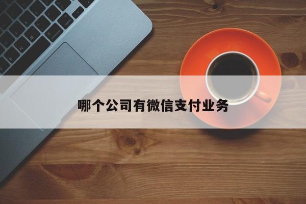 哪个公司有微信支付业务  第1张