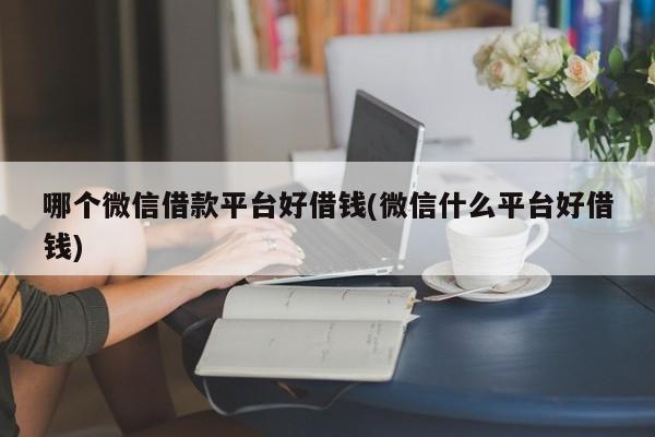 哪个微信借款平台好借钱(微信什么平台好借钱)  第1张