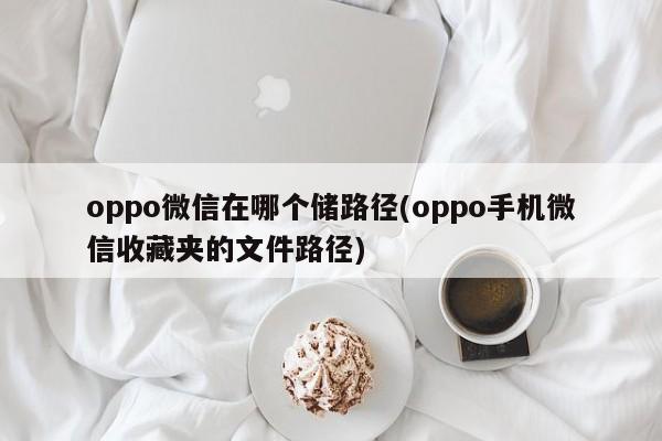 oppo微信在哪个储路径(oppo手机微信收藏夹的文件路径)  第1张