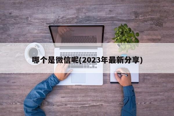 哪个是微信呢(2023年最新分享)  第1张