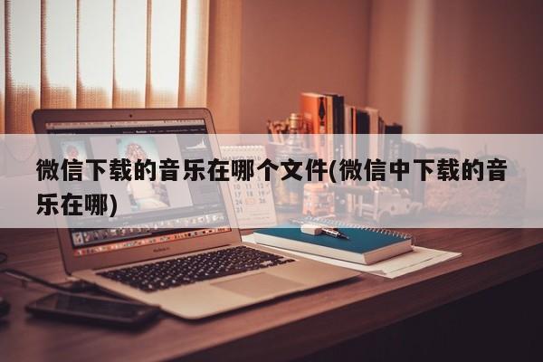 微信下载的音乐在哪个文件(微信中下载的音乐在哪)  第1张